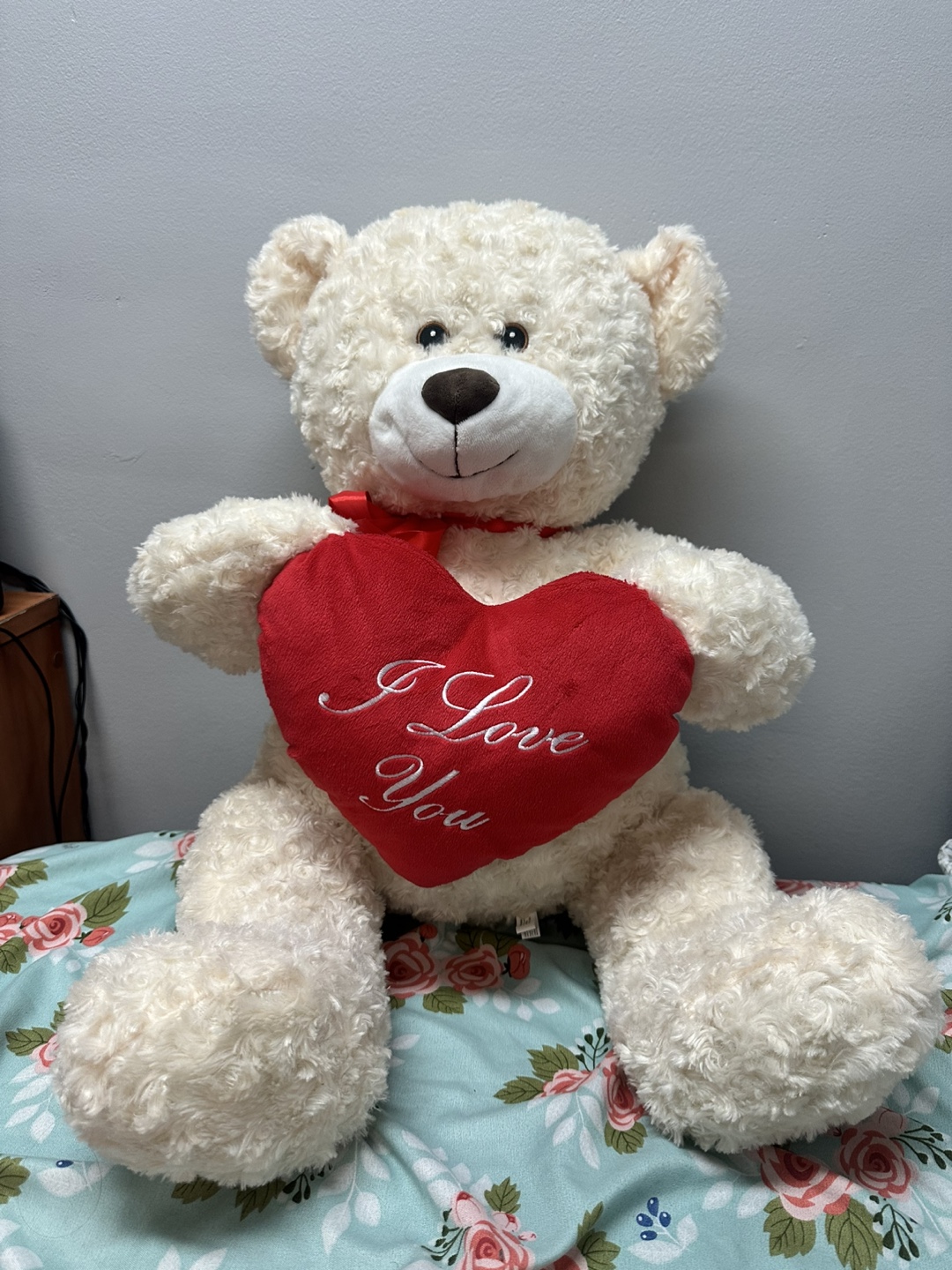 Teddy Bear with Heart