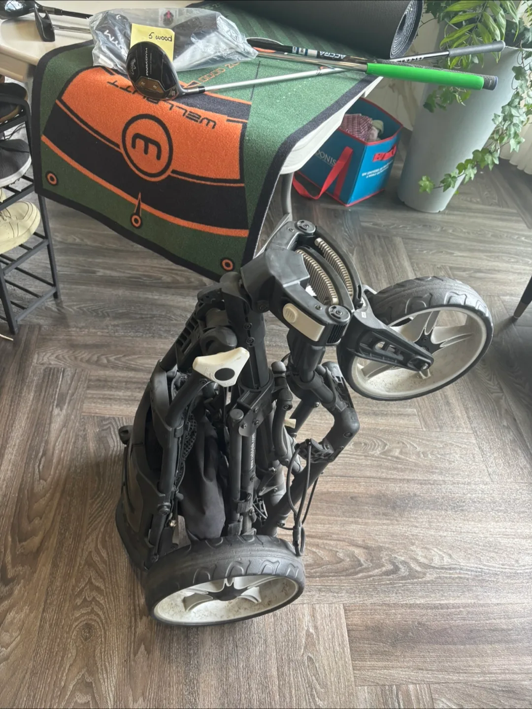 Golf Clubs, Cart, and Putting Mat image indicator(2)