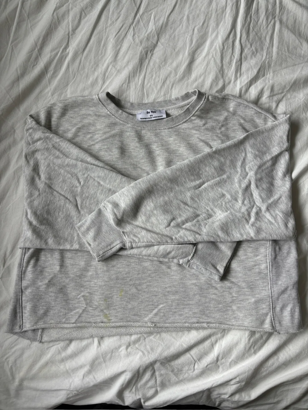 Grey Sweatshirt thumbnail