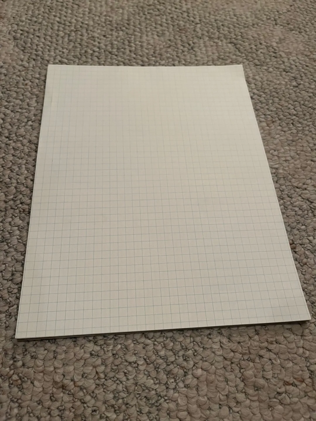 Sheet of Grid Paper thumbnail