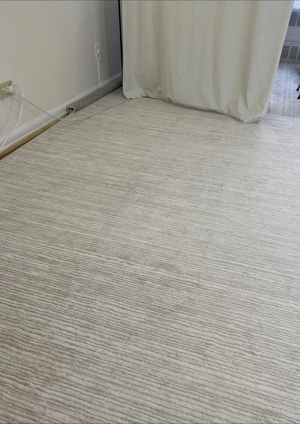 Beige Area Rug 9x12 - photo 2