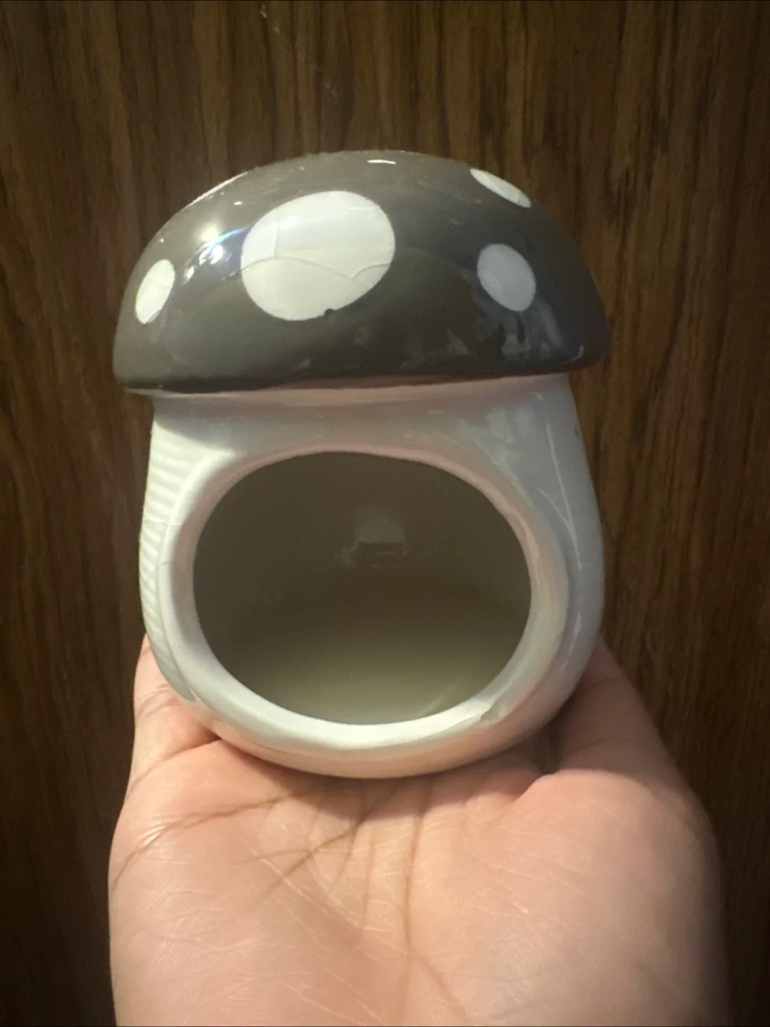 Mushroom Ceramic Incense Holder thumbnail