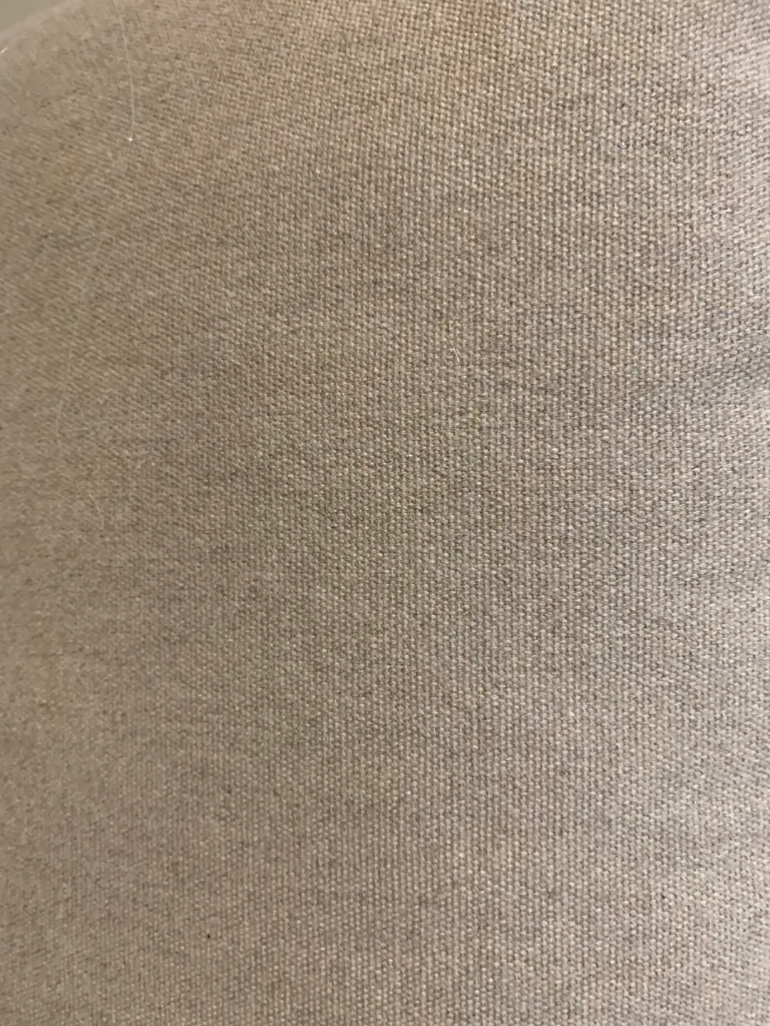 CLEI Cushion/Pillow Beige Color image indicator(2)