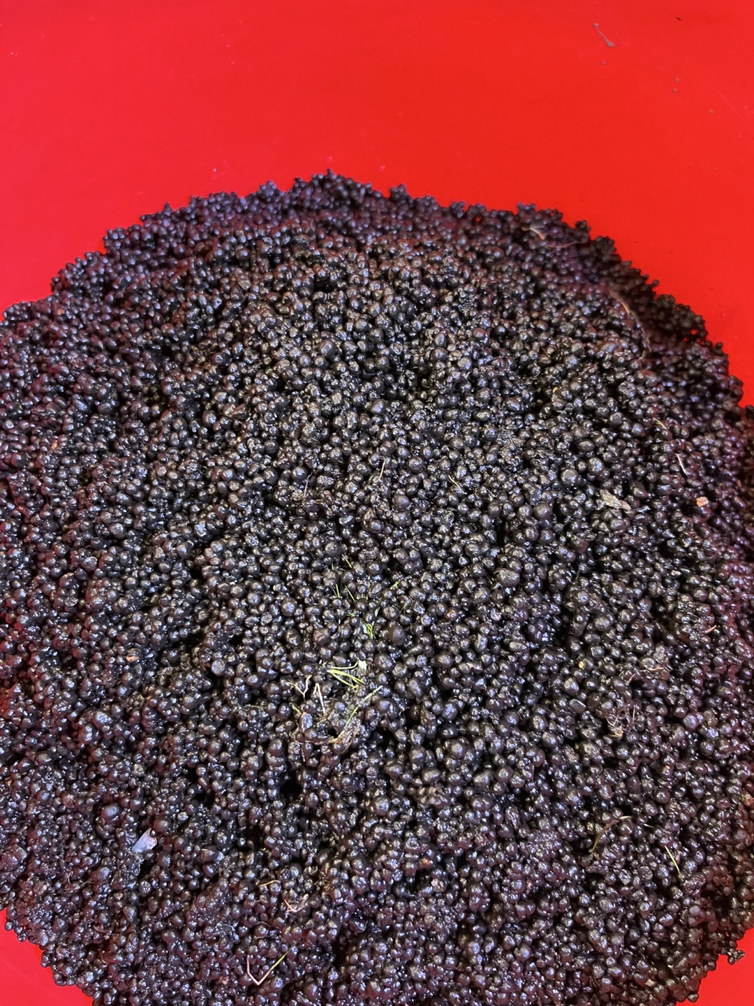 Fish tank substrate Fluval stratum 11kg ( 24.25 lb)-$80
