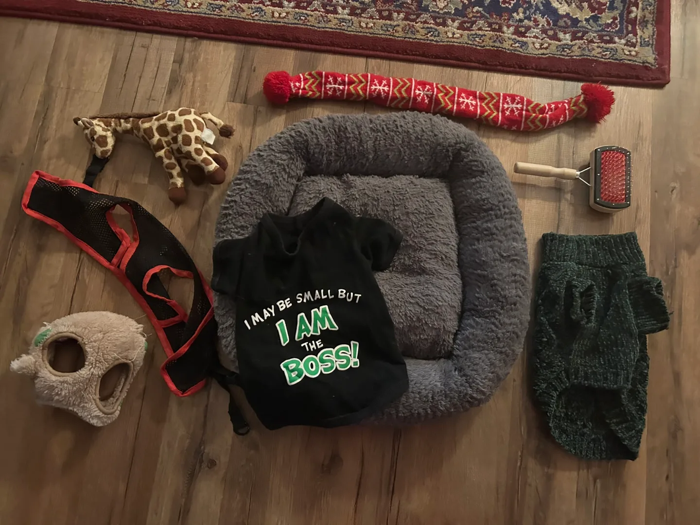 Dog Bed, Clothes & Accessories Bundle thumbnail