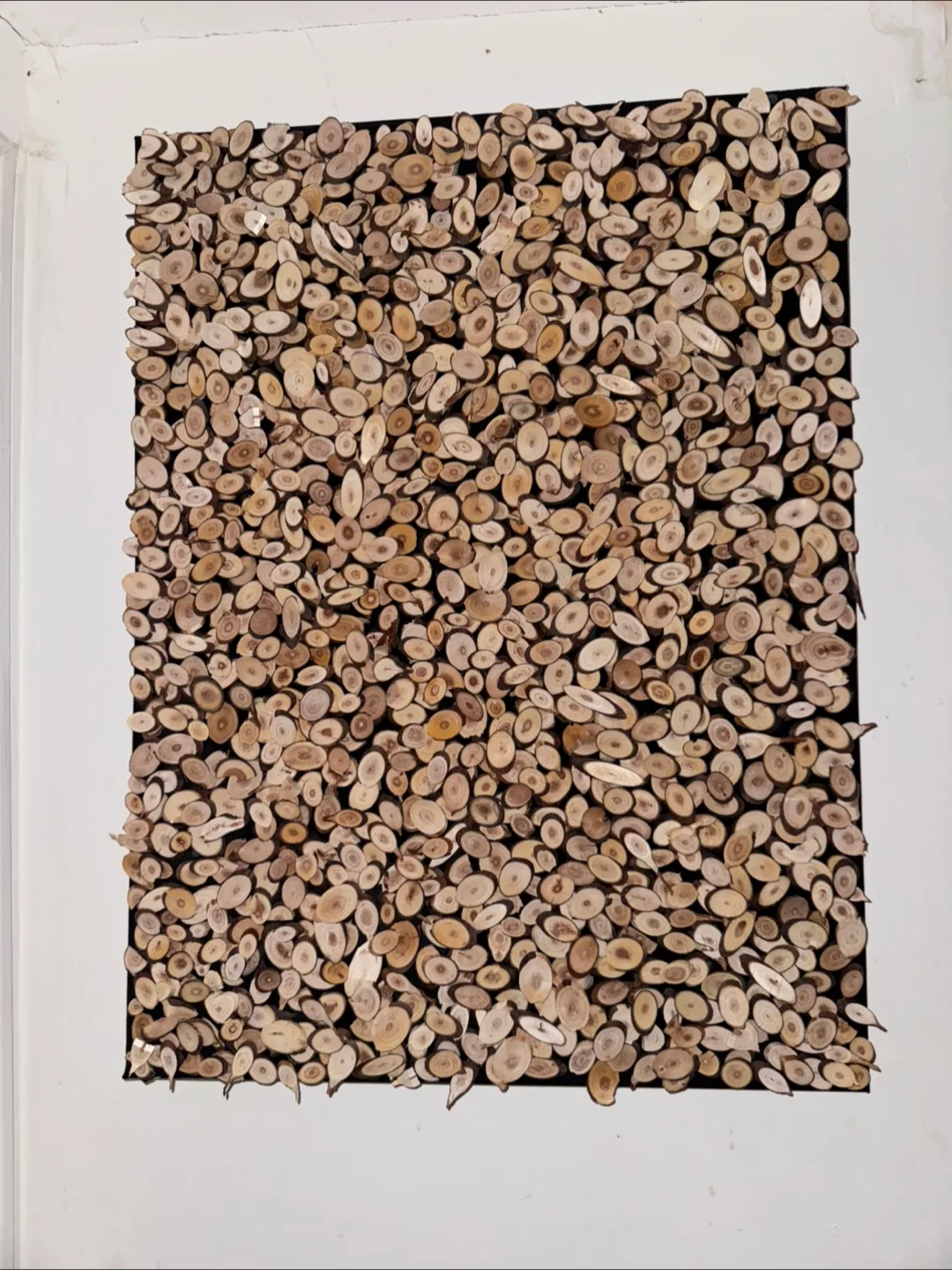 LARGE WOOD SLICE WALL ART CANVAS thumbnail