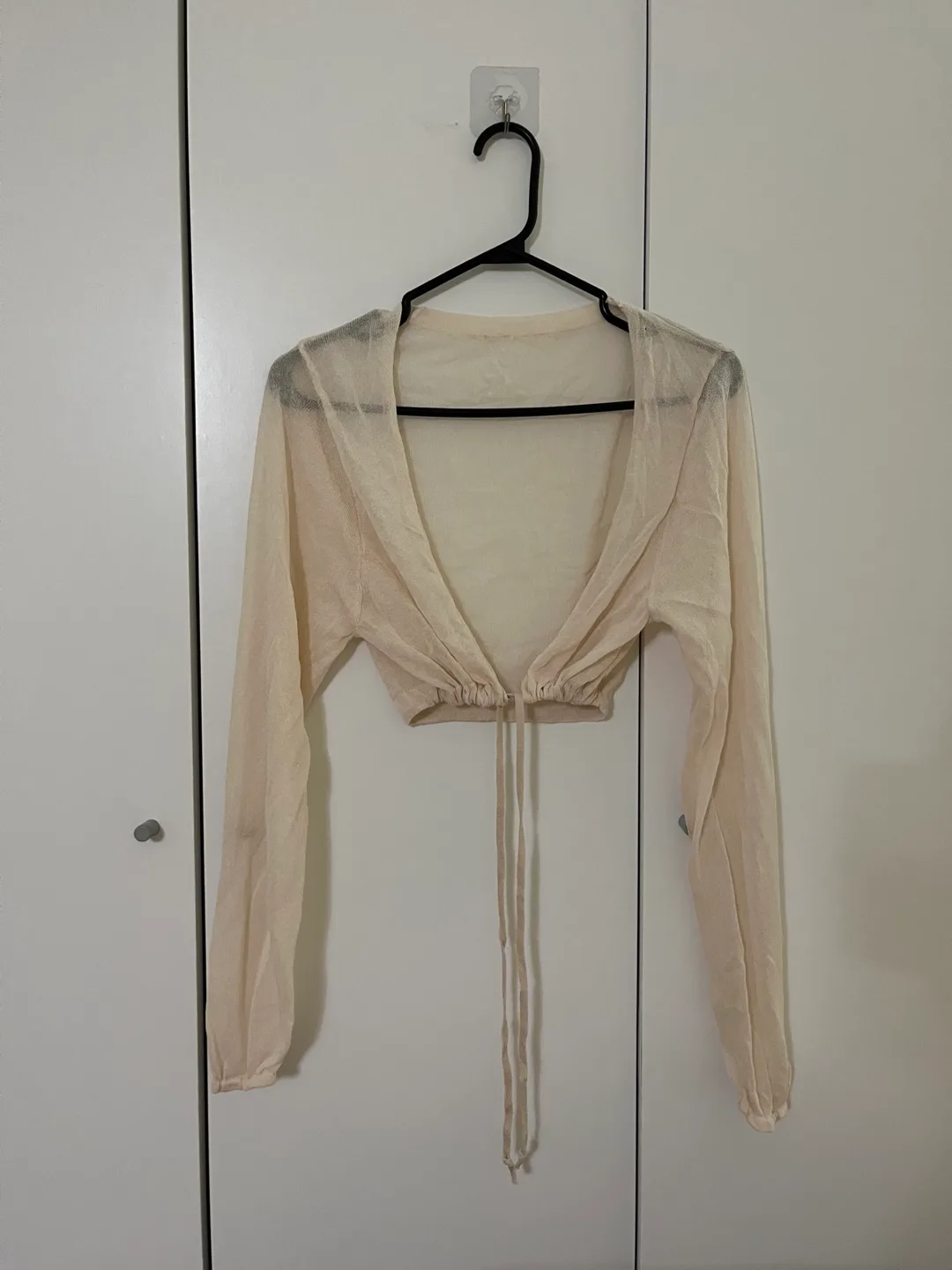 Beige Sheer Long Sleeve Crop Top thumbnail