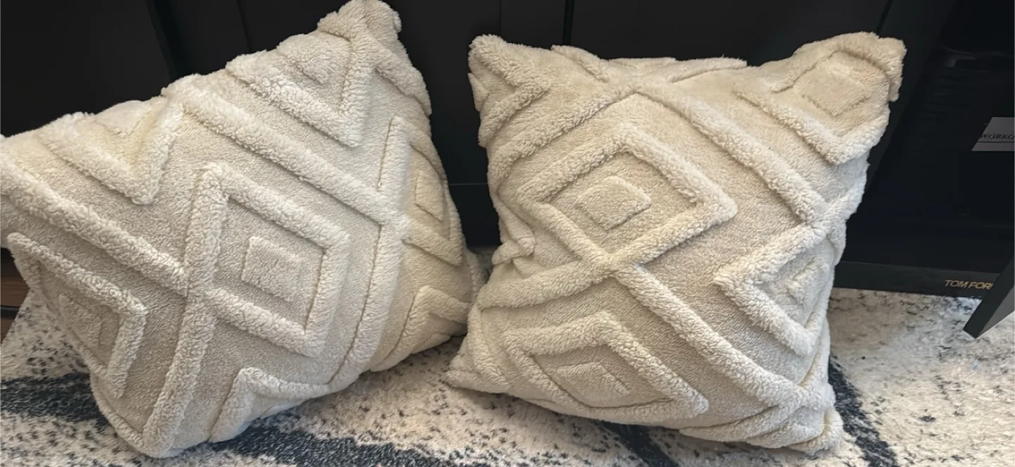 Decorative Throw Pillows - Set of 2