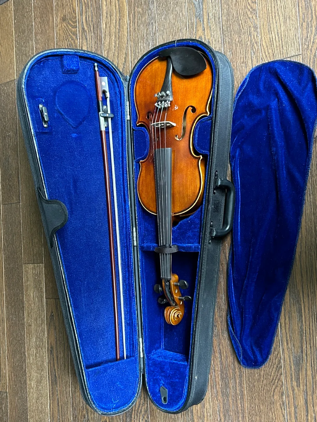 Violin with Case and Bow thumbnail