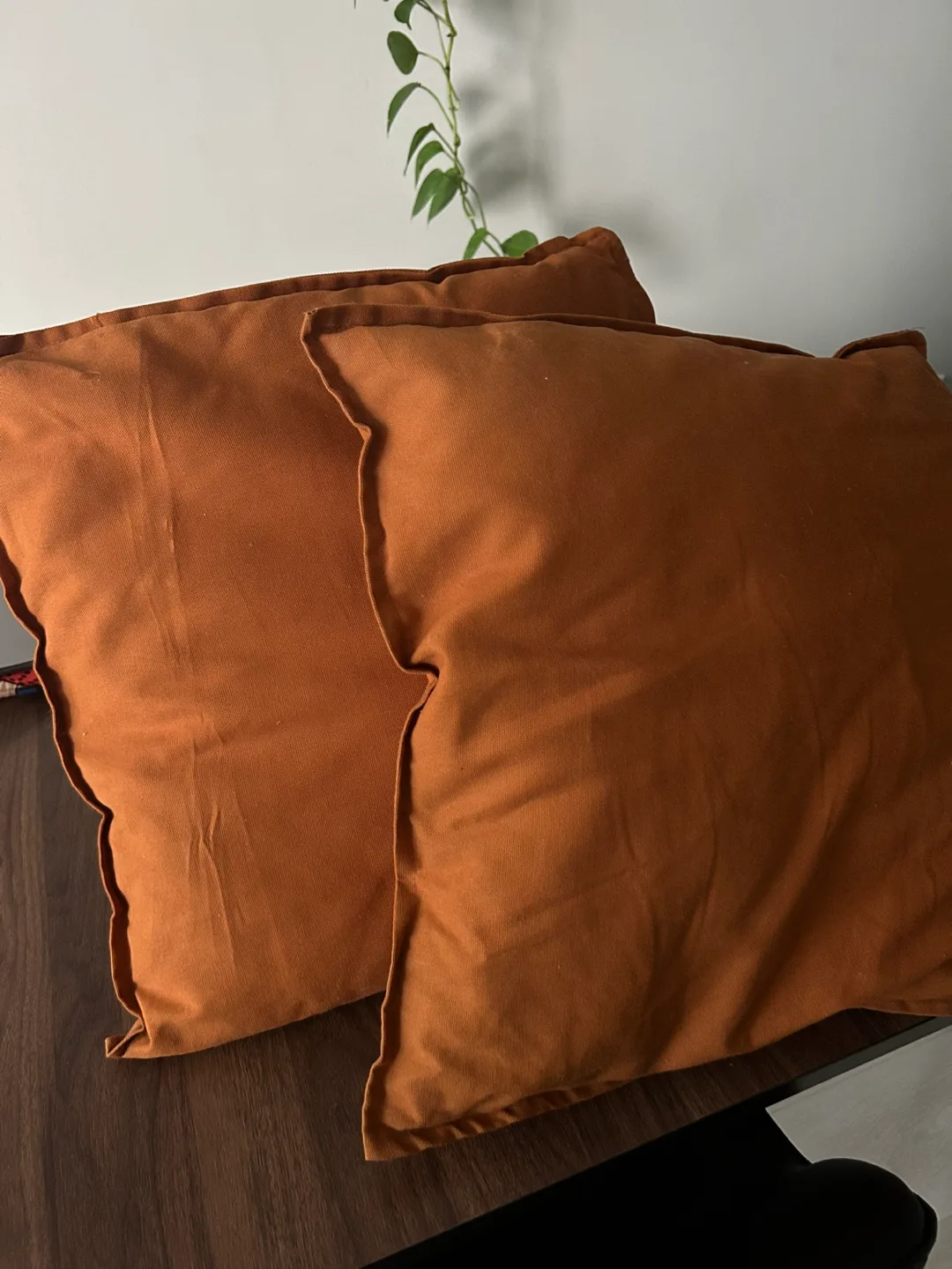 Set of 2 IKEA Pillows and Covers thumbnail