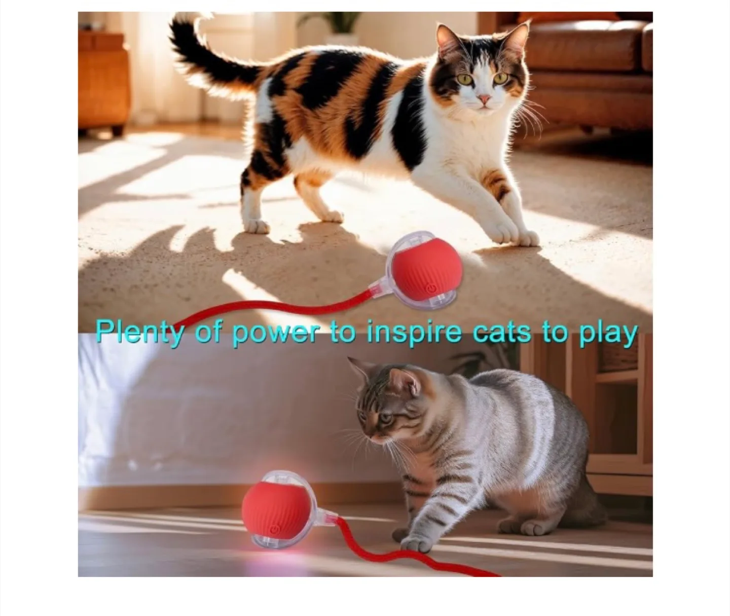 Interactive Cat Toy - Red Ball with Rope image indicator(8)