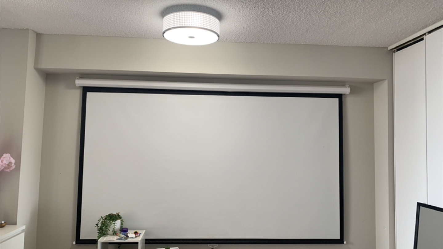 PERLESMITH 100 Inch Projector Screen - photo 2
