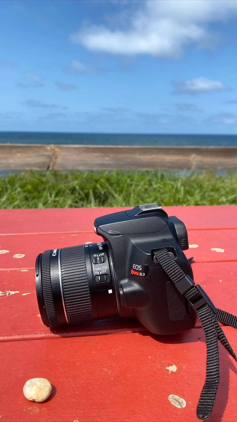 Canon EOS Rebel SL3 DSLR Camera image indicator(2)