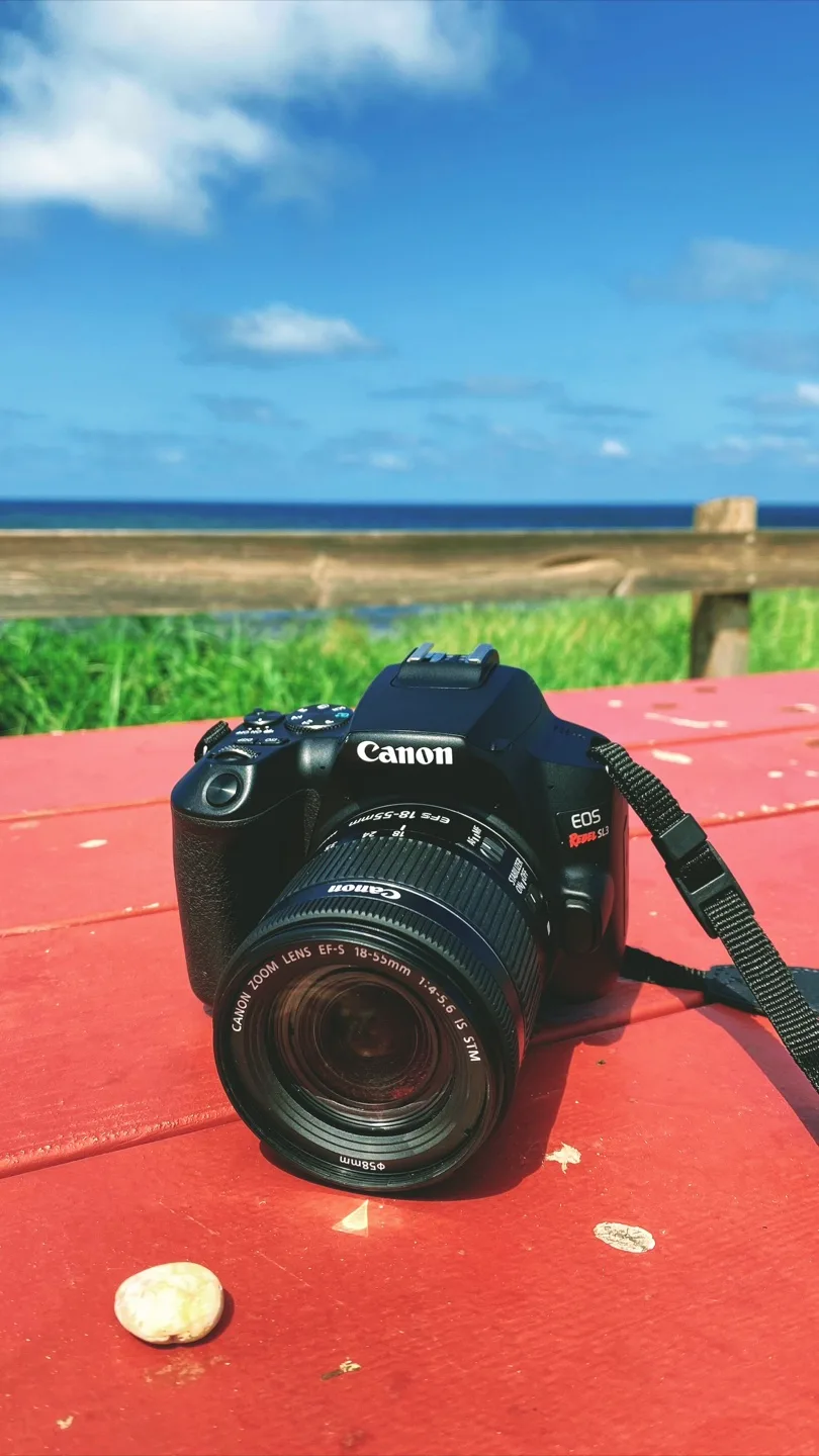 Canon EOS Rebel SL3 DSLR Camera image indicator(5)