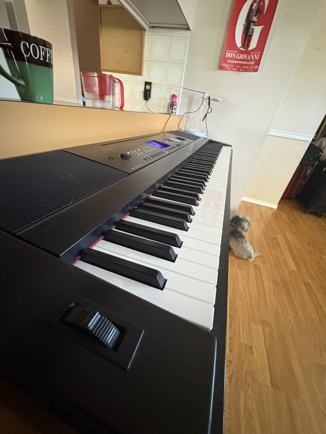 🎹 Yamaha DGX-650 88-Key Digital Piano - photo 5
