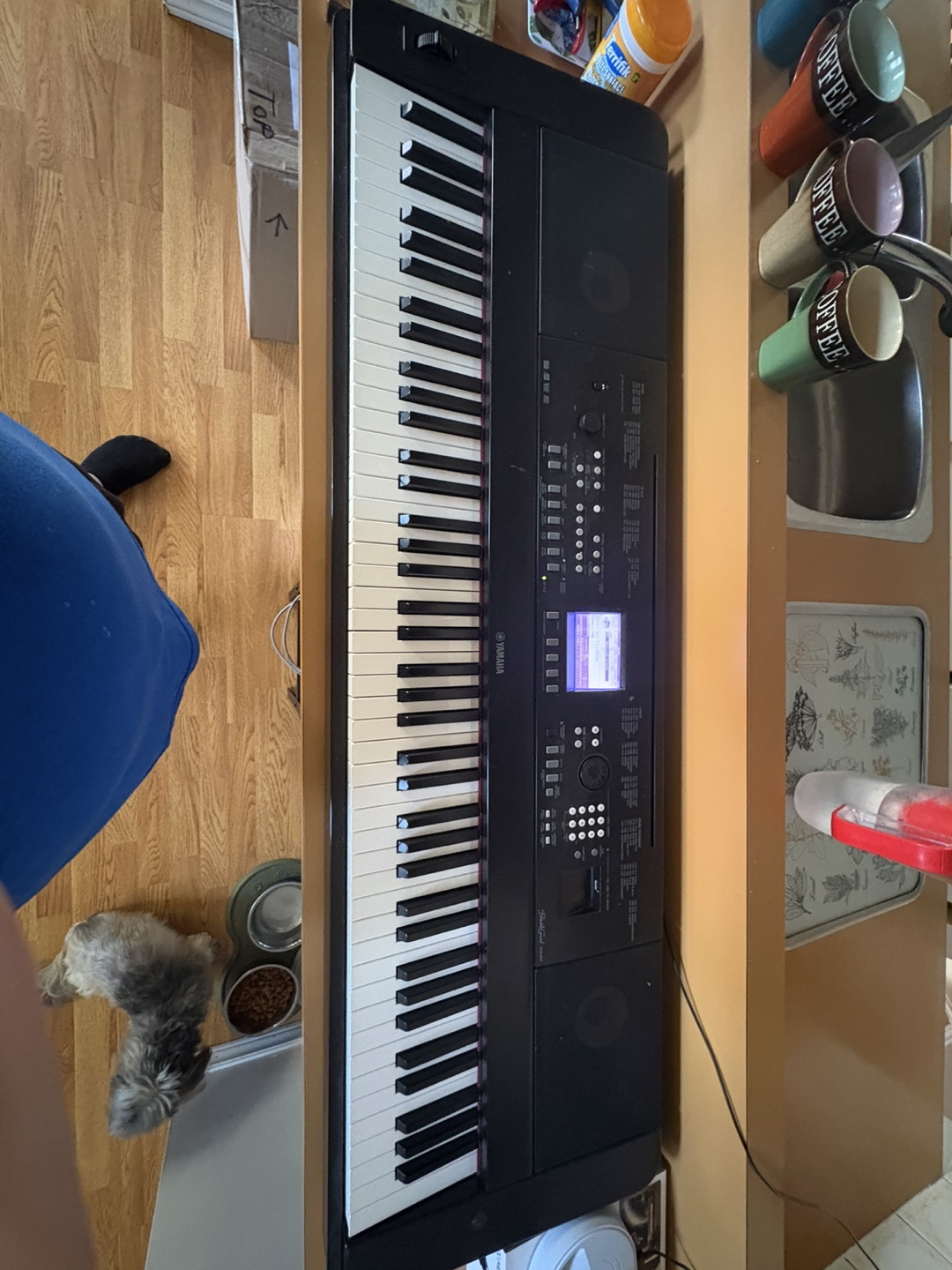 🎹 Yamaha DGX-650 88-Key Digital Piano - photo 4
