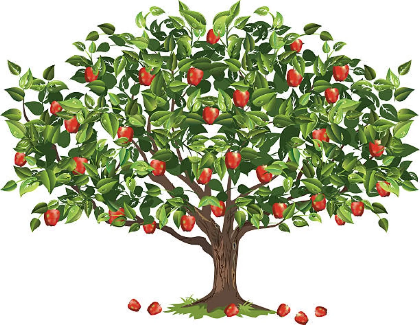 Free Apples 🍎 You Pick thumbnail