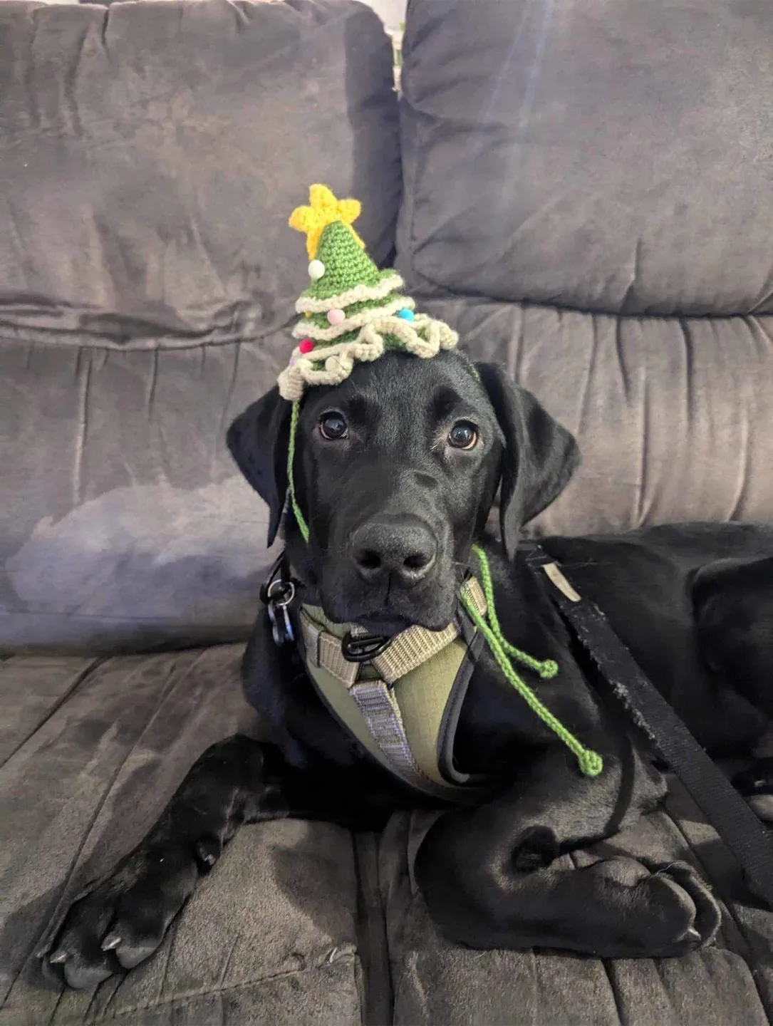 Handmade Crocheted Party Hats image indicator(2)