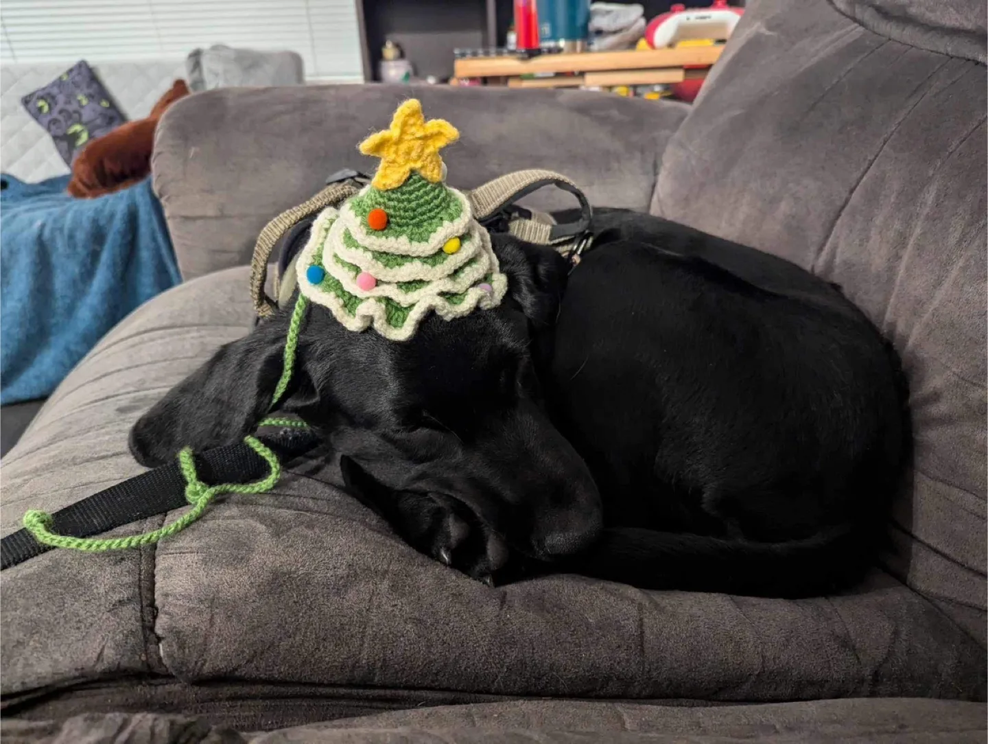 Handmade Crocheted Party Hats image indicator(3)