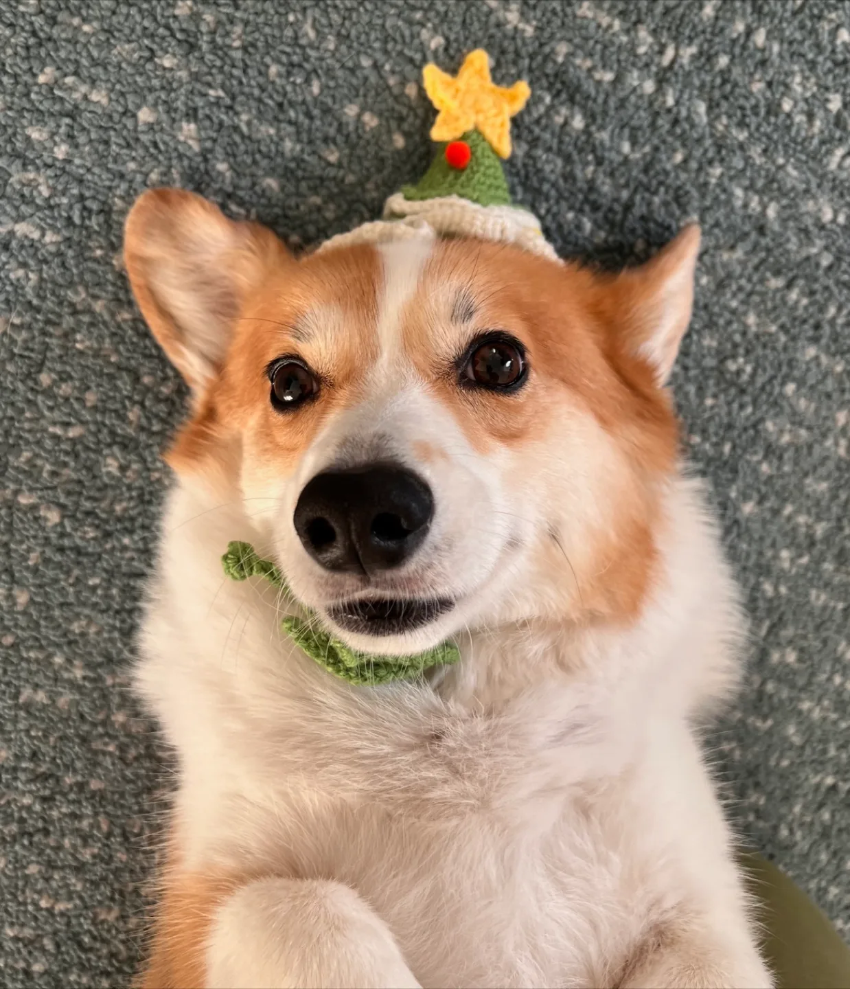 Handmade Crocheted Party Hats image indicator(5)