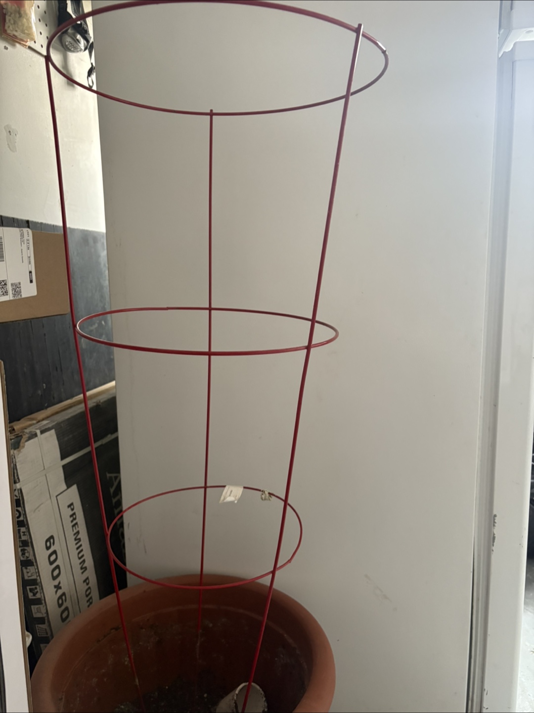Large Flower Pot with Cage - photo 3
