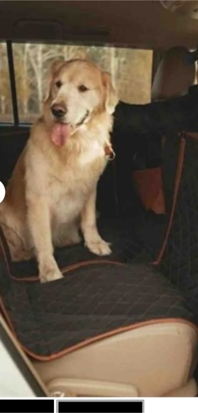 Dog Seat cover backseat extender thumbnail