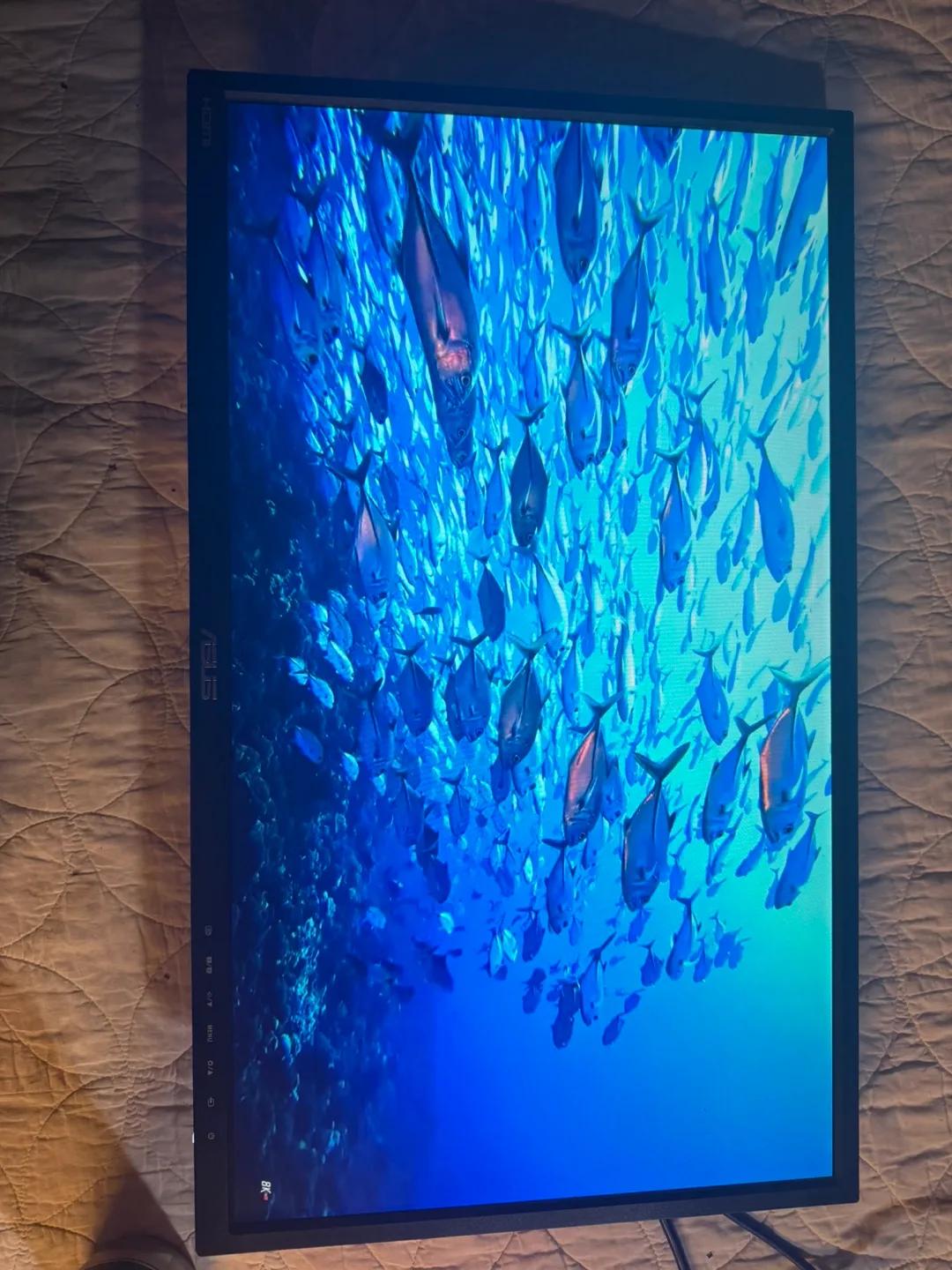 24” Asus Monitor HDMI thumbnail