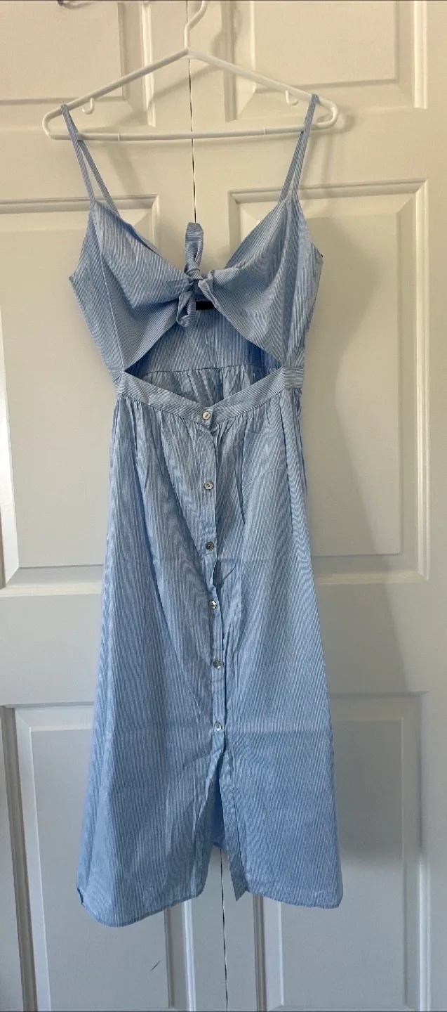 Zara Dress thumbnail