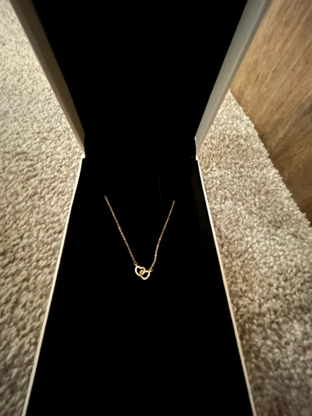 Pandora necklace thumbnail