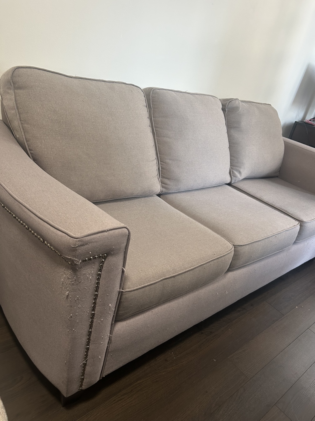 Free couch! - photo 2