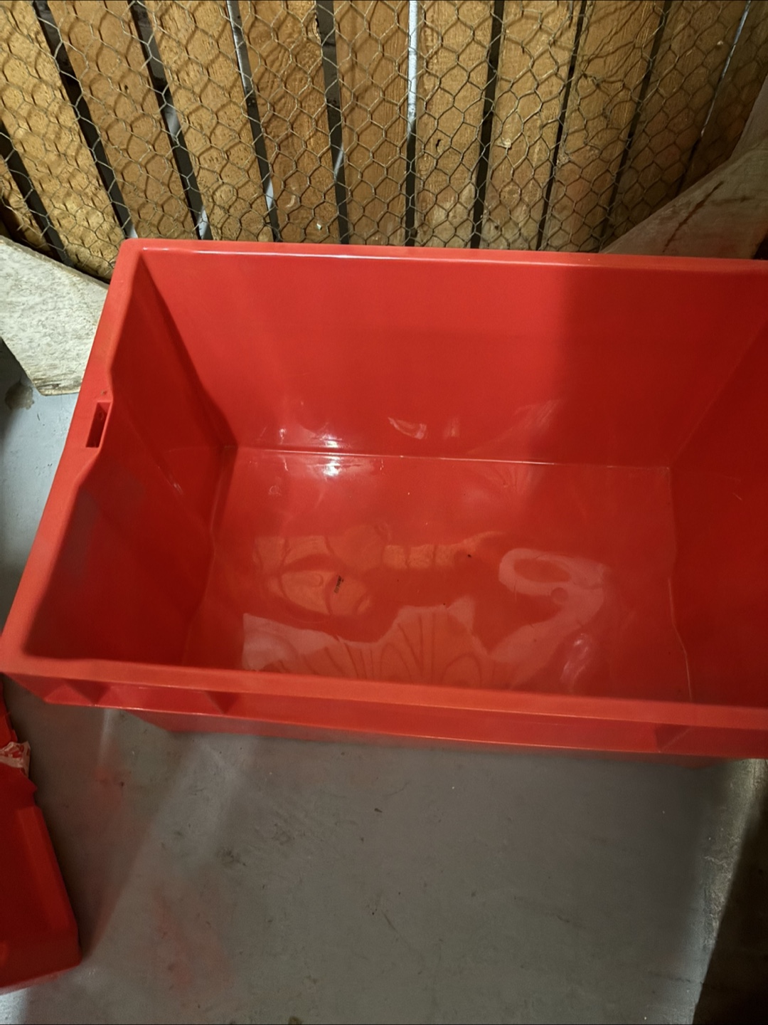 Red Storage Totes - photo 3