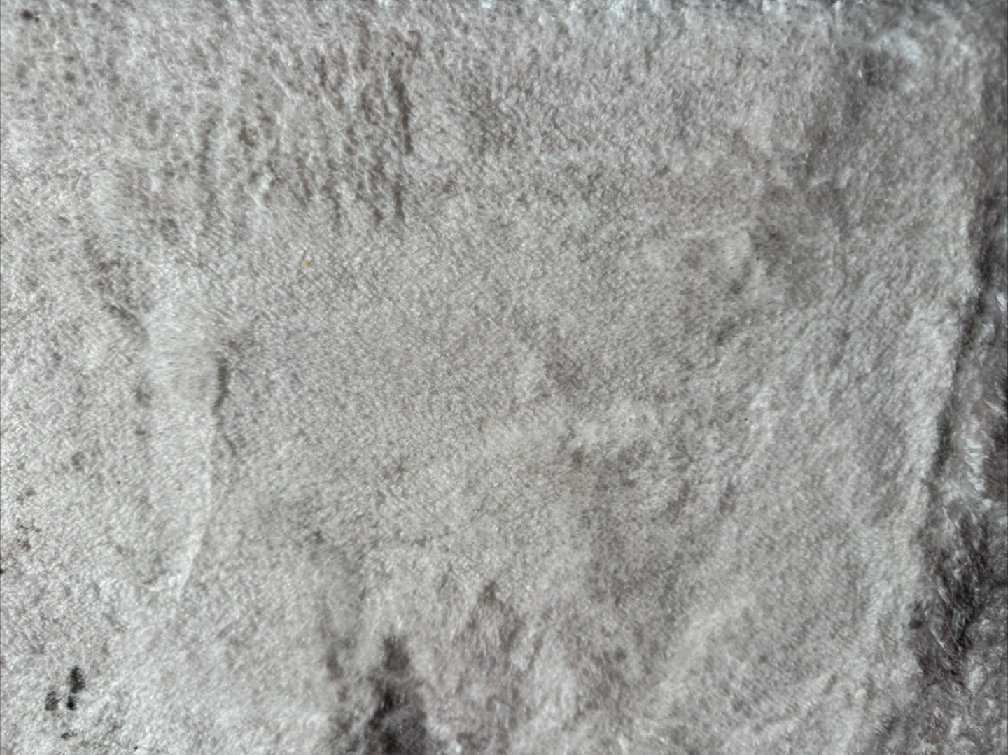 5x4 foot Area Rug - photo 2