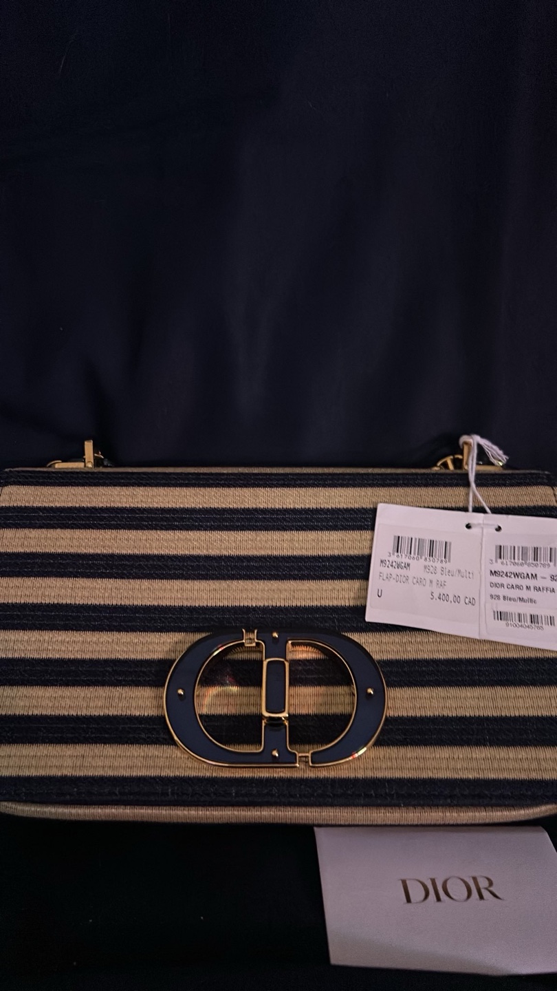 Dior Caro M Raffia Bag - Blue/Multi
