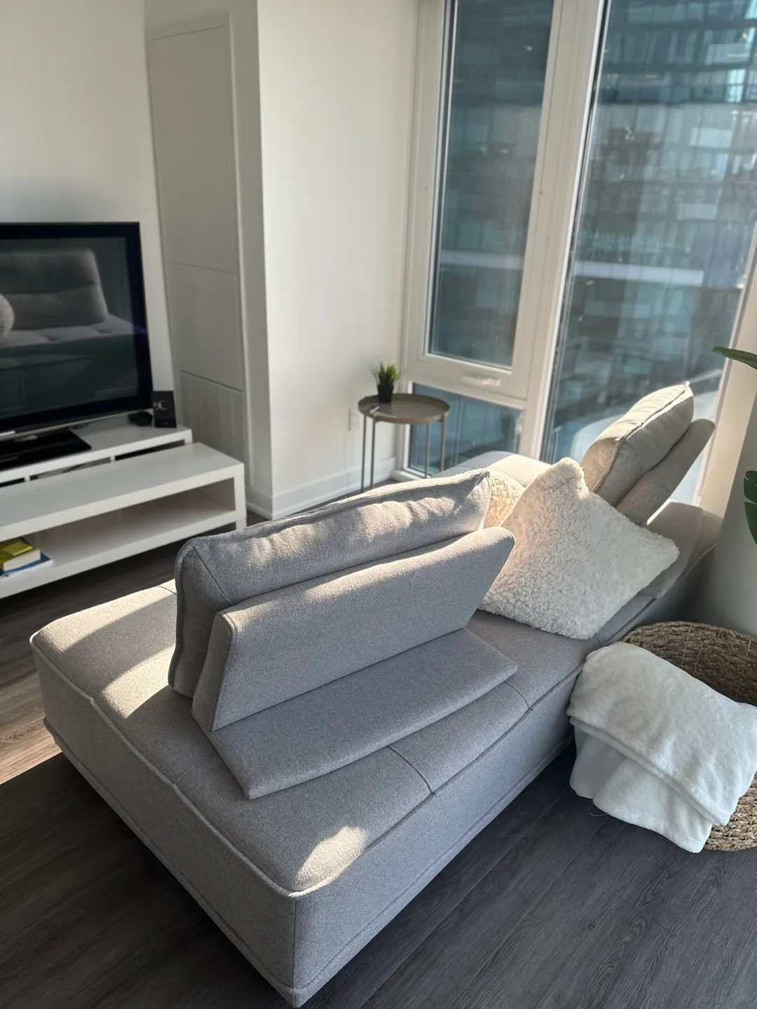 CHAMELEON structube sofa image indicator(4)