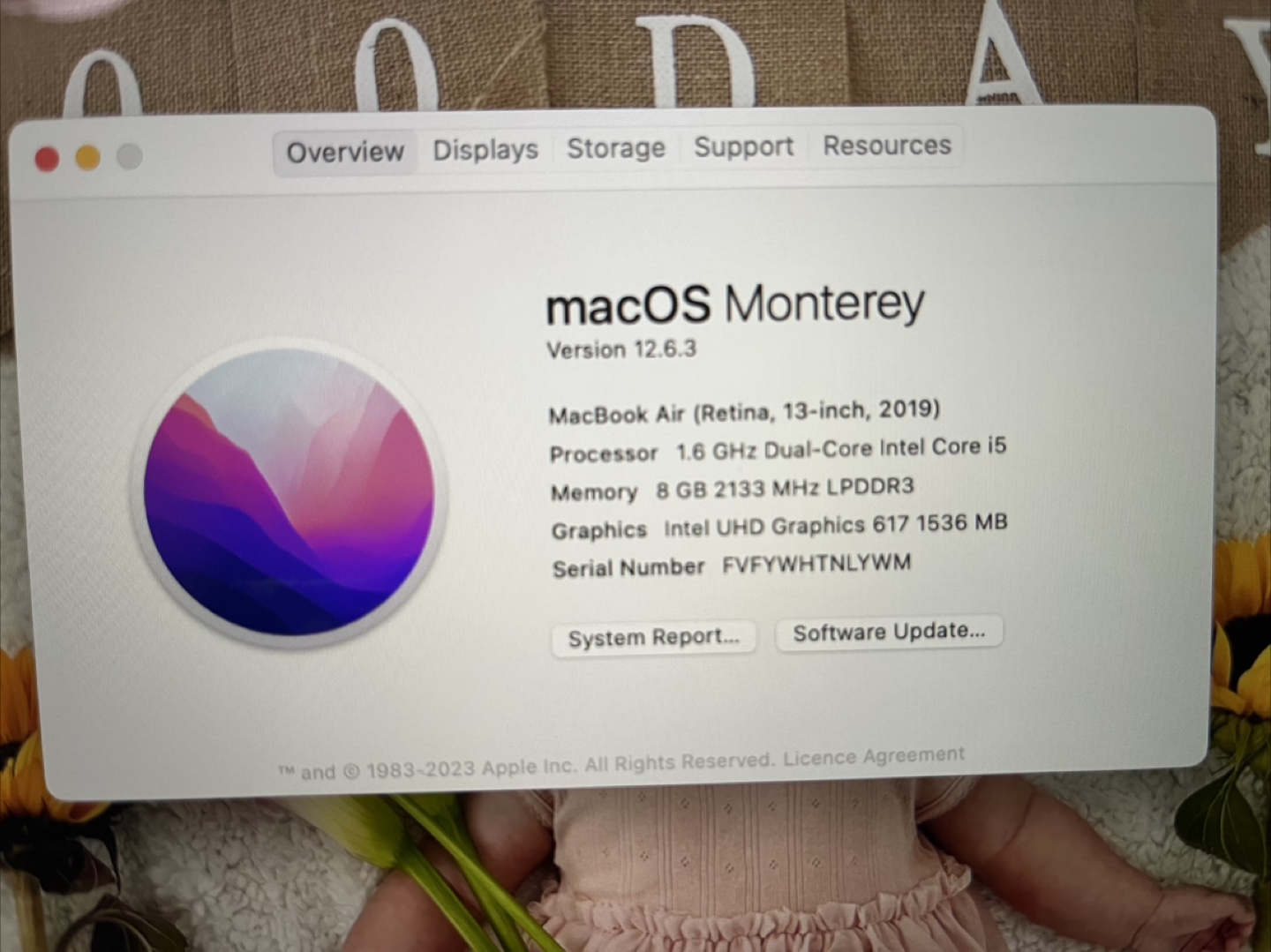 Apple MacBook Air (Retina, 13-inch, 2019) - photo 5