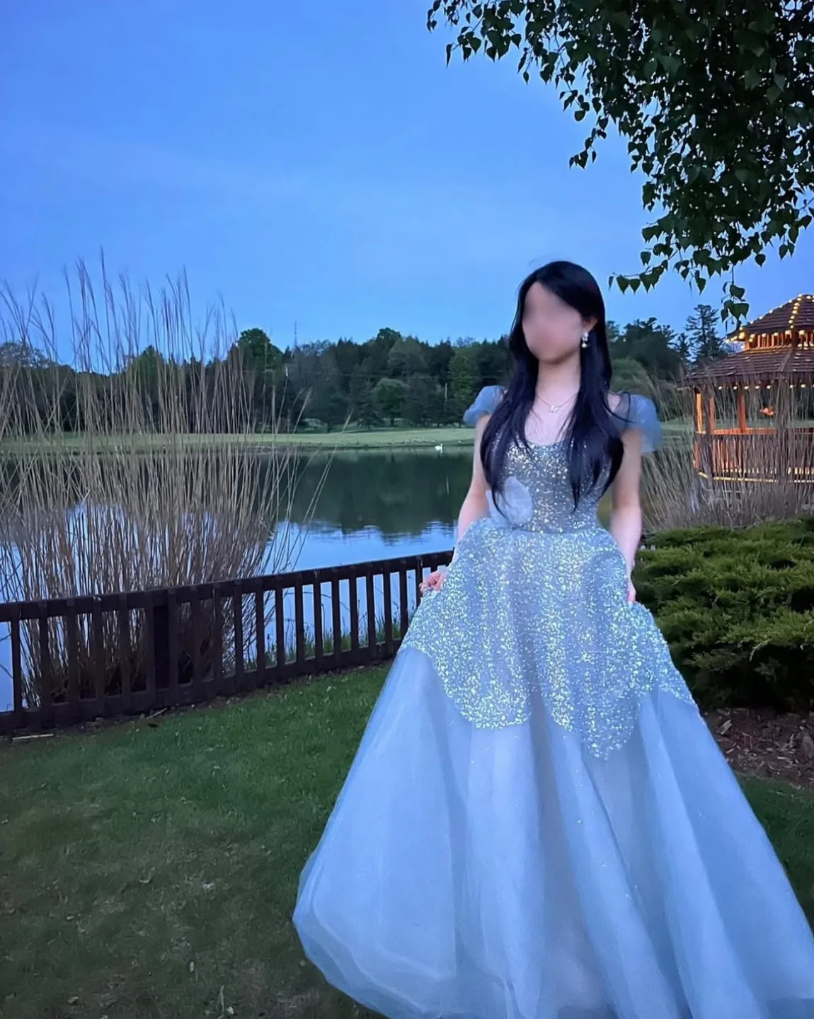 Prom Dress image indicator(2)