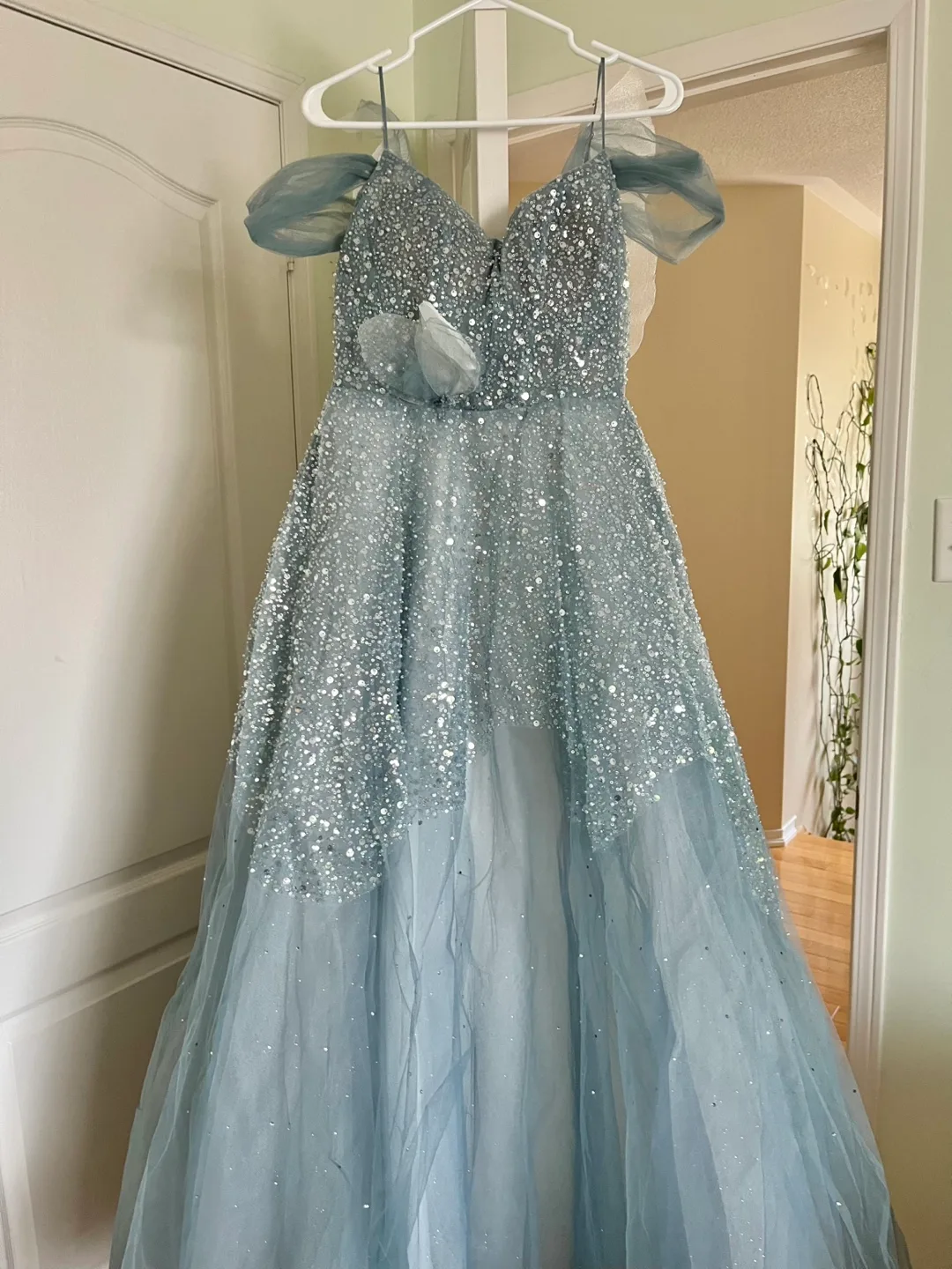 Prom Dress image indicator(3)