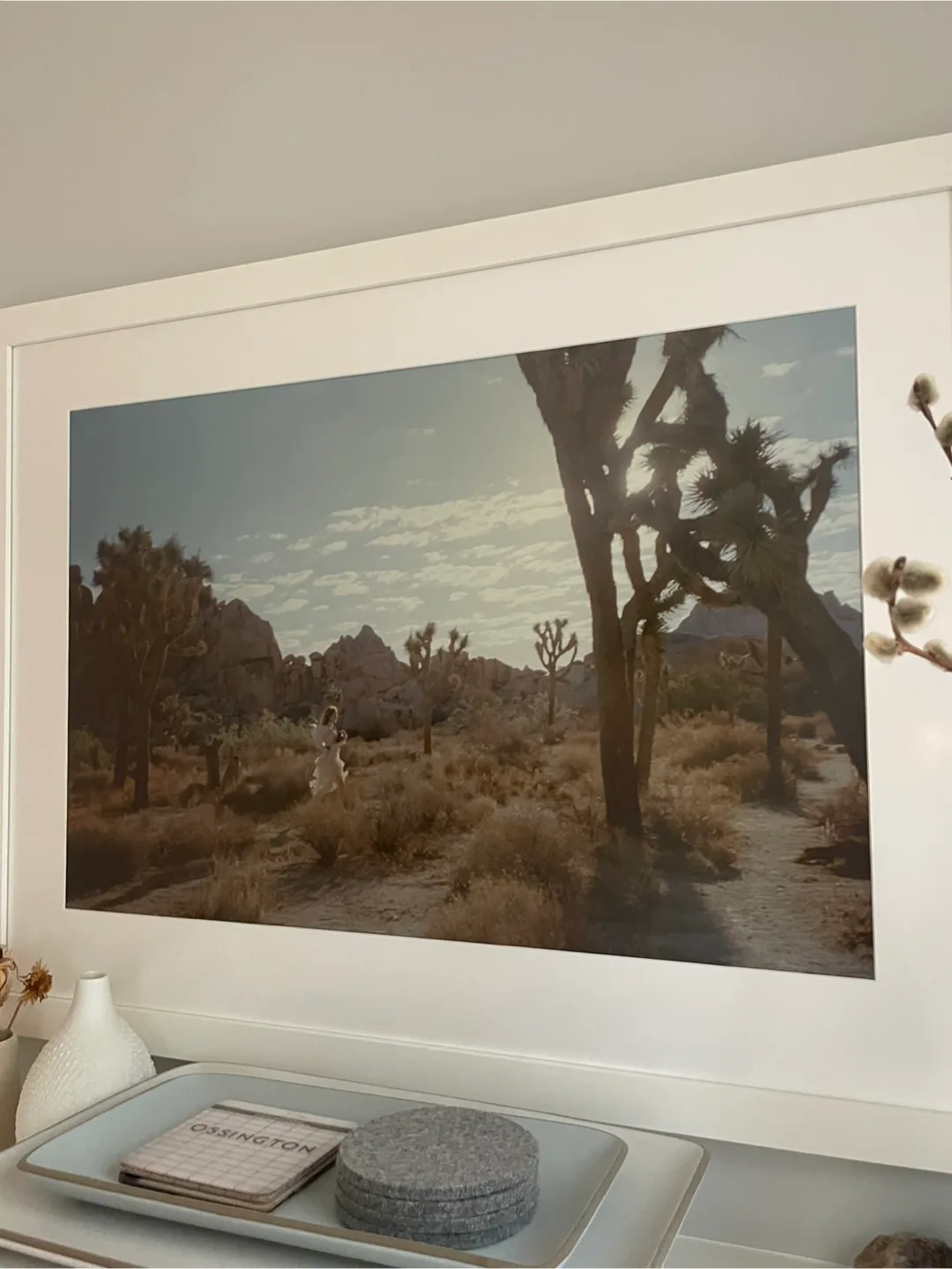 Gia Coppola Untitled VIII (Joshua Tree) Print thumbnail