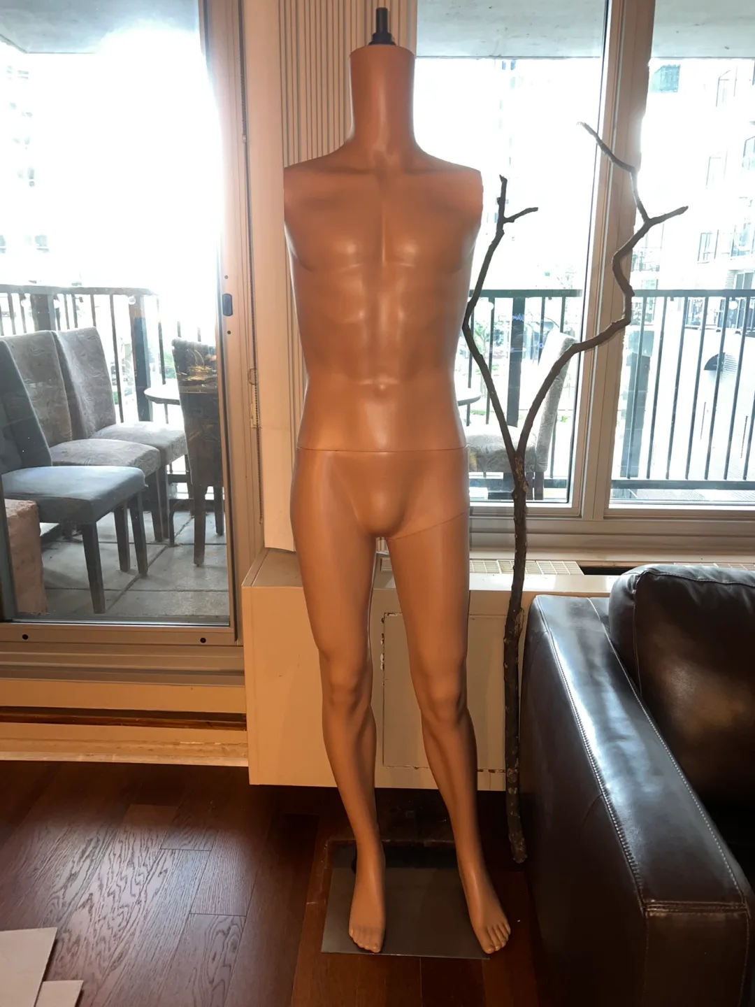 Male Mannequin thumbnail