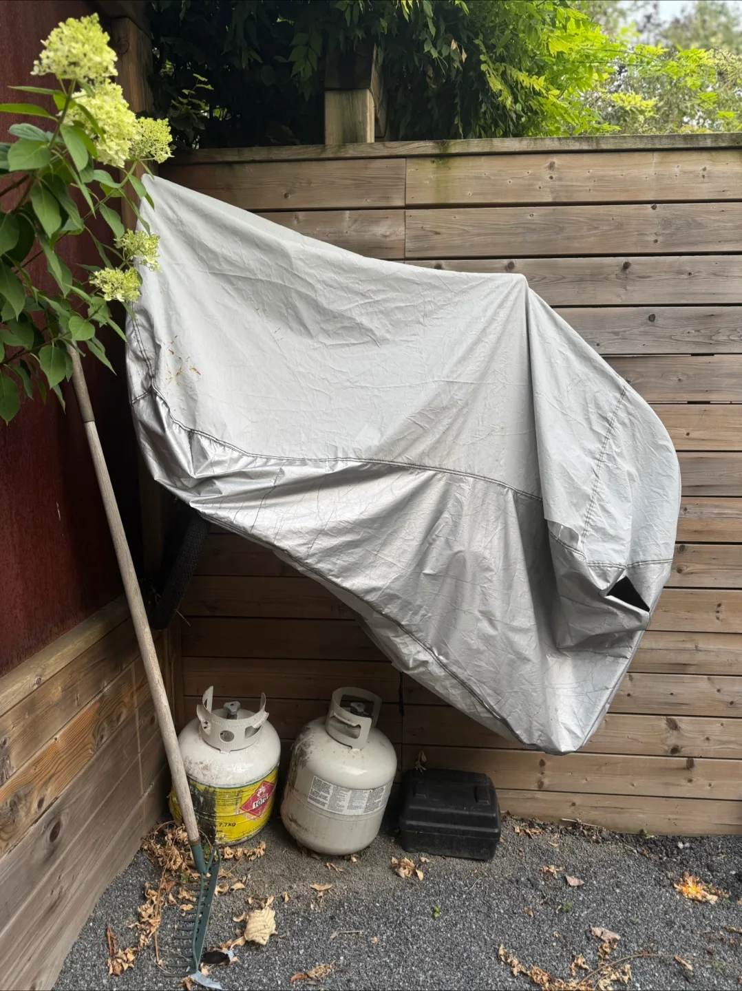 Cannondale Bike - Yellow & Orange image indicator(6)