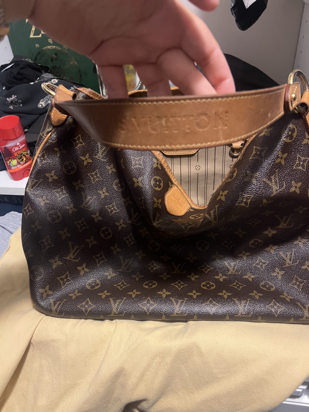 Louis Vuitton Delightful Brown Monogram