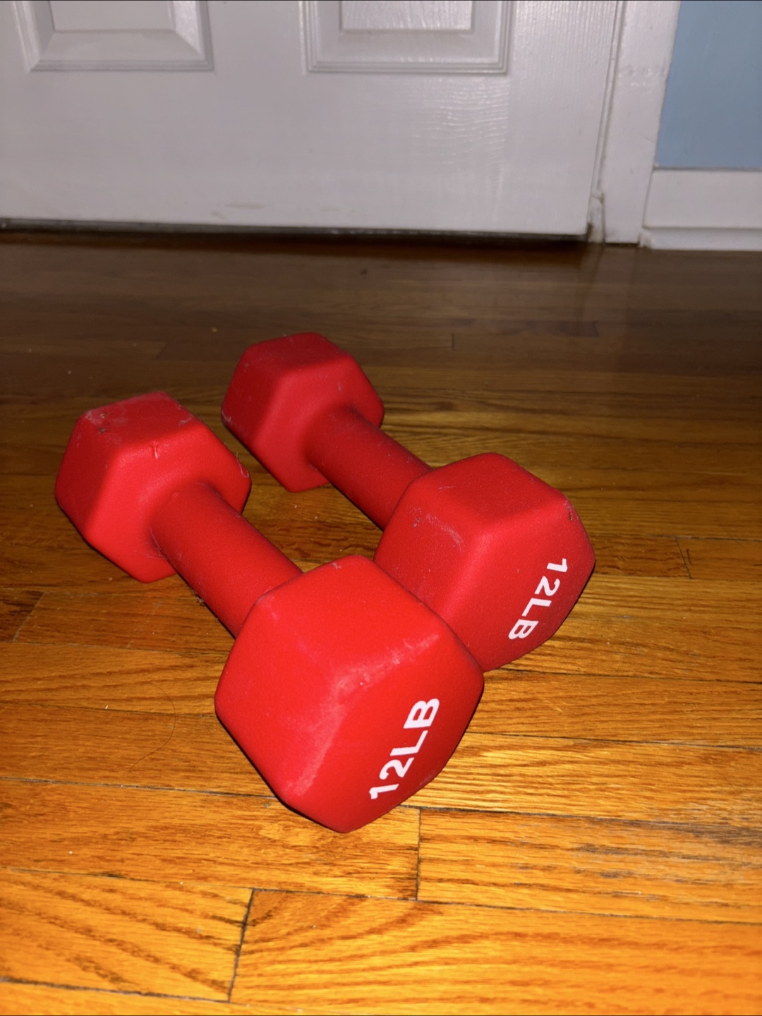 Pair of 12lb Red Dumbbells