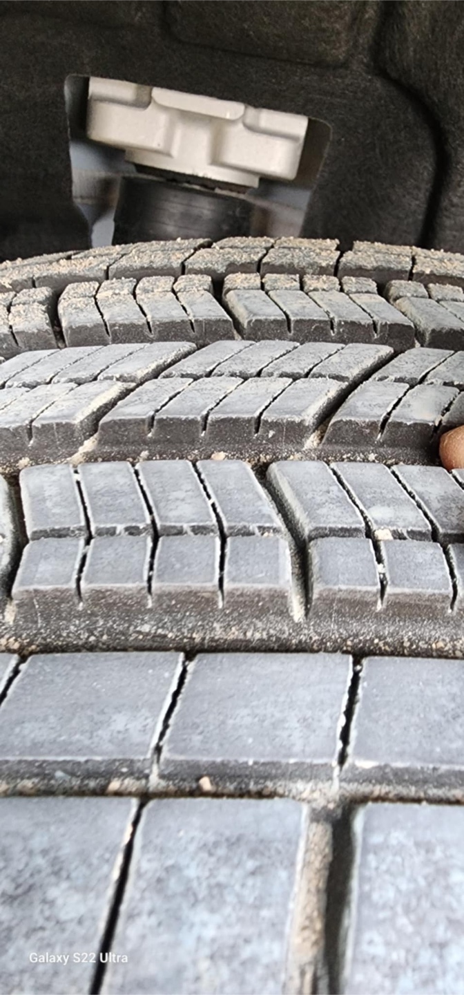Michelin All Season Tire