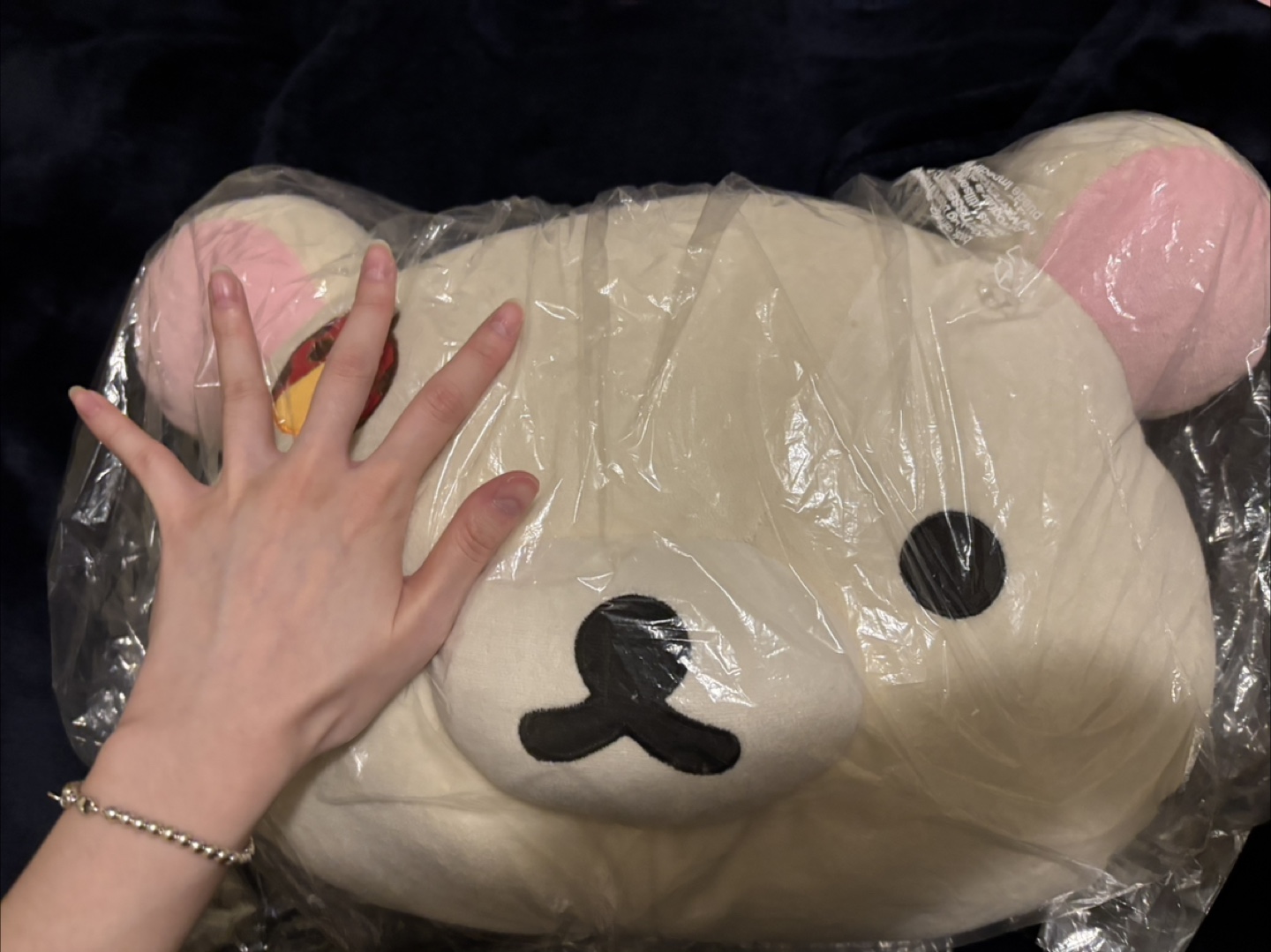 Korilakkuma Pillow - photo 4