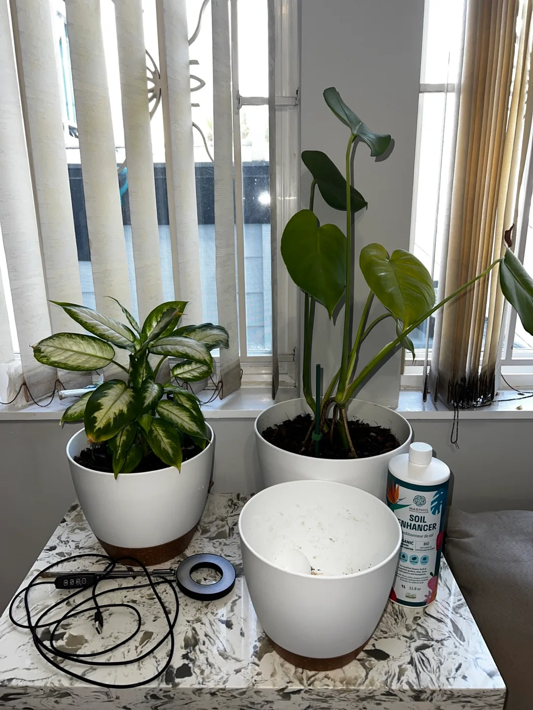 2 Sets of Plants with Supplies (SELLING TOGETHER) thumbnail