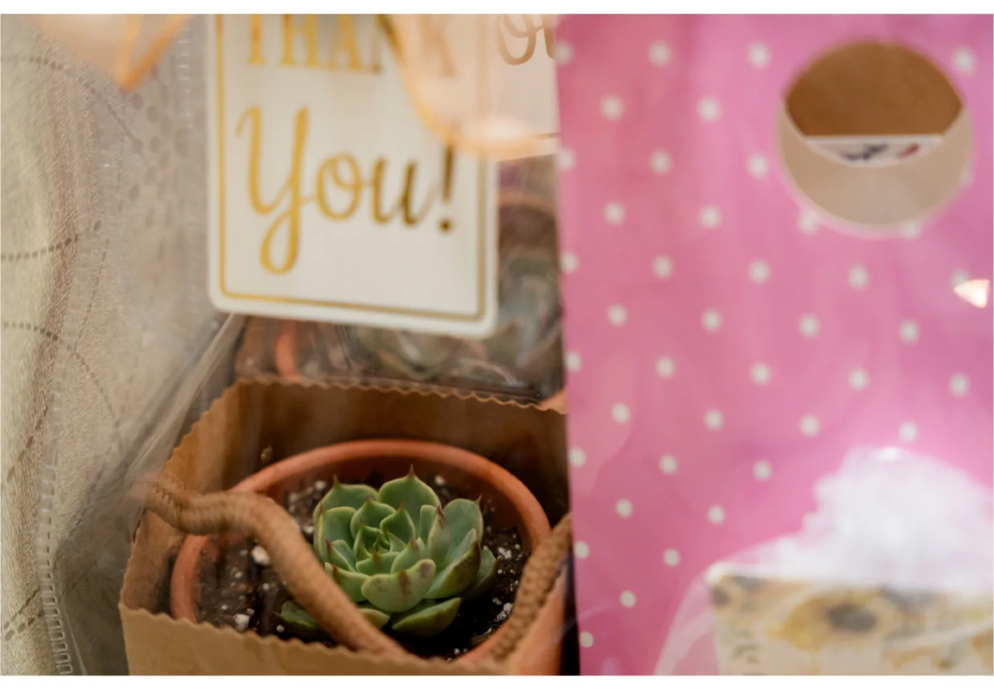 22 Succulent Favour Gift Boxes thumbnail