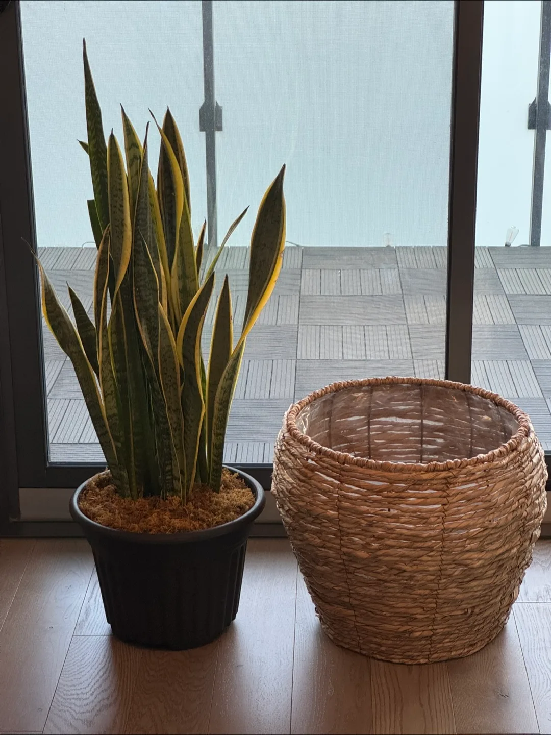 Large Seagrass Woven Planter Basket image indicator(2)
