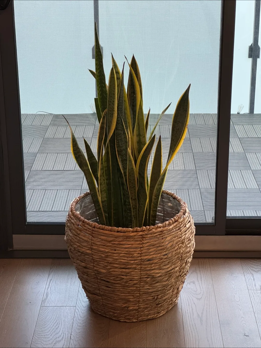 Large Seagrass Woven Planter Basket image indicator(3)