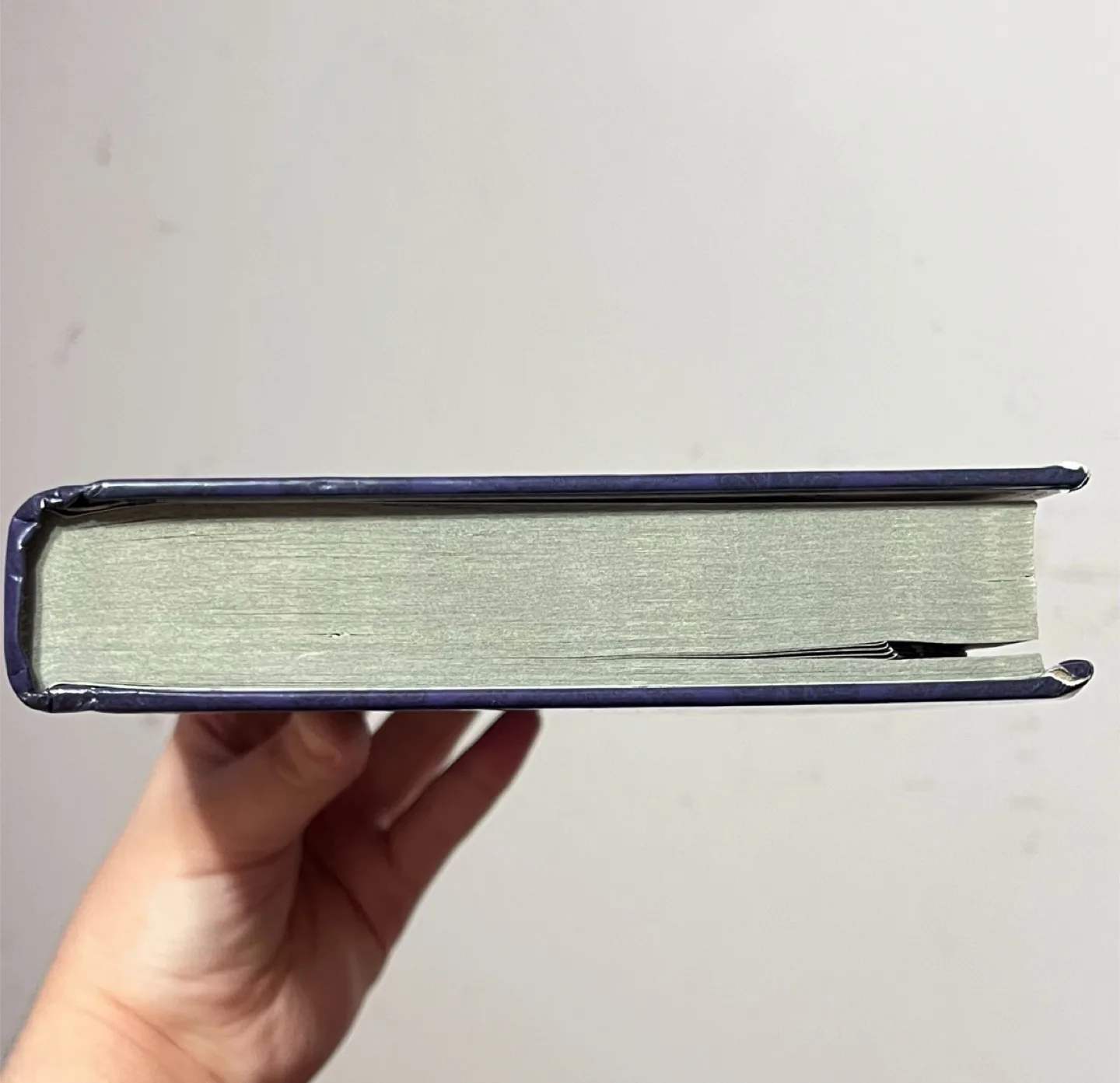 Ever After High: The Unfairest of Them All by Shannon Hale image indicator(4)