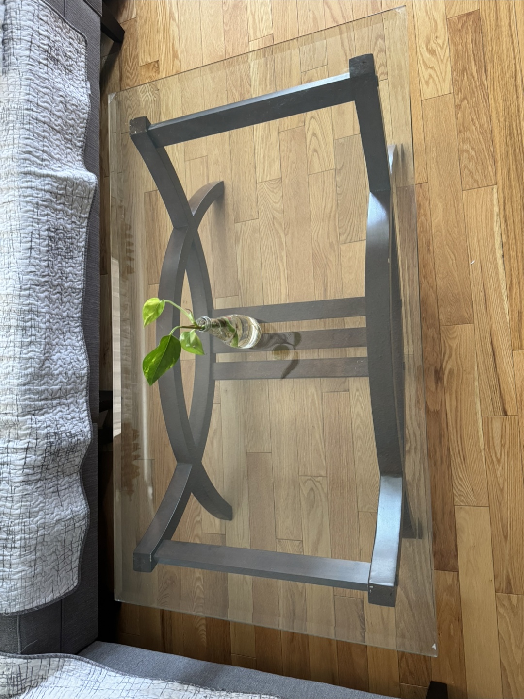Ricci 48" Modern Glass Top Coffee Table